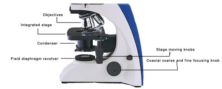 Phase Contrast Biological Microscopy for sale