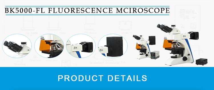 BK6000 series fluorescent microscopy