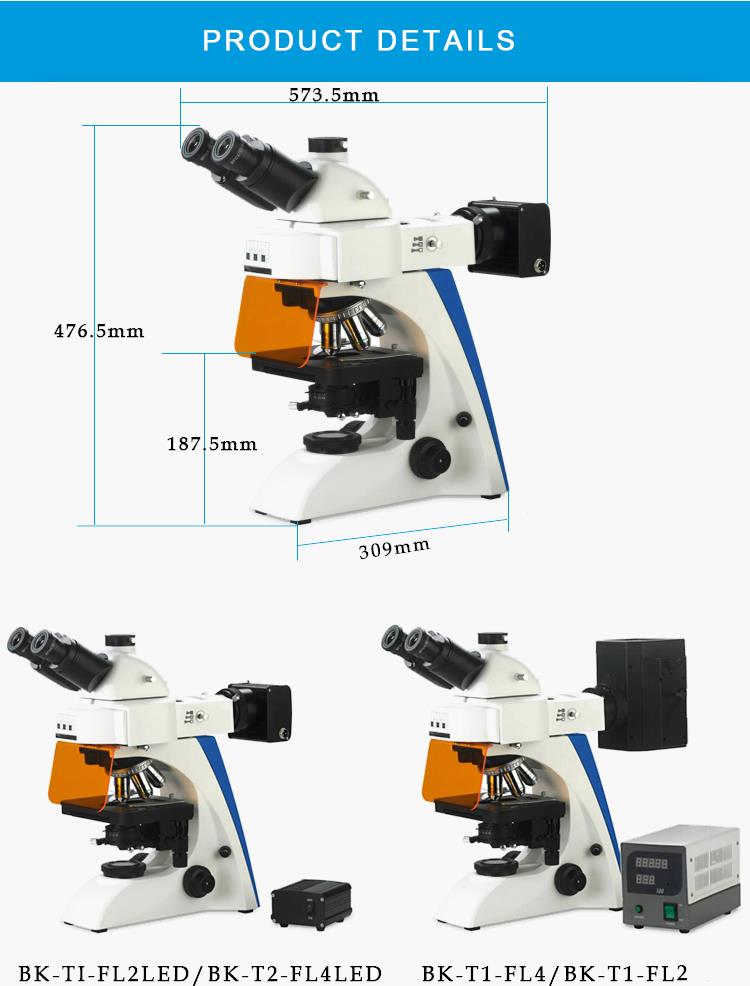 BK6000-FL fluorescence microscope made in China