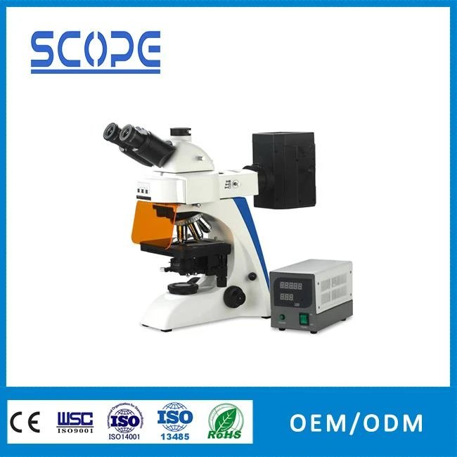 Fluorescent Biological Microscope