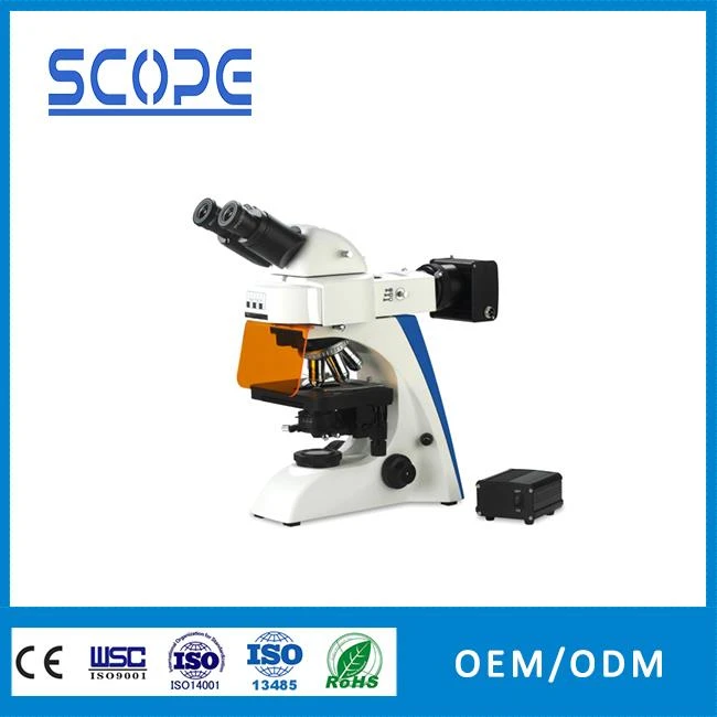 Fluorescent Biological Microscope