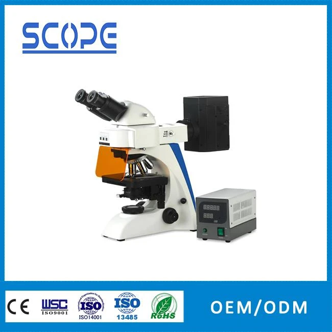 Fluorescent Biological Microscope