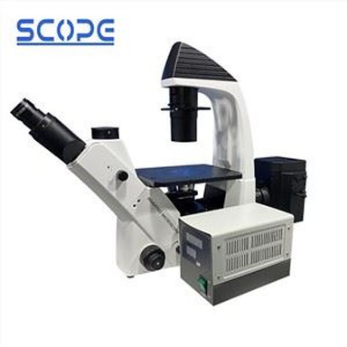 بهترین میکروسکوپ فلورسانس وارونه آزمایشگاه